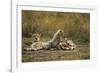 Cheetah Cub and Mother-Paul Souders-Framed Photographic Print