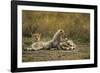 Cheetah Cub and Mother-Paul Souders-Framed Photographic Print