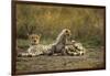 Cheetah Cub and Mother-Paul Souders-Framed Photographic Print