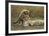 Cheetah Cub and Mother-Paul Souders-Framed Photographic Print