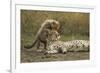 Cheetah Cub and Mother-Paul Souders-Framed Photographic Print