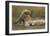 Cheetah Cub and Mother-Paul Souders-Framed Photographic Print