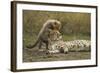 Cheetah Cub and Mother-Paul Souders-Framed Photographic Print