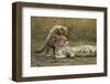 Cheetah Cub and Mother-Paul Souders-Framed Photographic Print