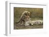 Cheetah Cub and Mother-Paul Souders-Framed Photographic Print