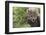 Cheetah Cub, Masai Mara, Kenya-Sergio Pitamitz-Framed Photographic Print