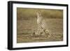 Cheetah Cubs and their Mother-Paul Souders-Framed Photographic Print