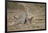 Cheetah Cubs and their Mother-Paul Souders-Framed Photographic Print