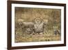 Cheetah Cubs and their Mother-Paul Souders-Framed Photographic Print