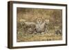 Cheetah Cubs and their Mother-Paul Souders-Framed Photographic Print