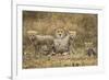 Cheetah Cubs and their Mother-Paul Souders-Framed Photographic Print