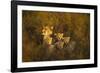 Cheetah Cubs and their Mother-Paul Souders-Framed Photographic Print