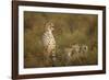 Cheetah Cubs and their Mother-Paul Souders-Framed Photographic Print