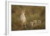 Cheetah Cubs and their Mother-Paul Souders-Framed Photographic Print