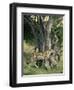 Cheetah Cubs Eight Months Old, Playing in Tree, Masai Mara National Reserve, Kenya, East Africa-Murray Louise-Framed Photographic Print