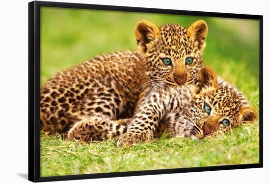 Cheetah Cubs in Grass Art Print Poster-null-Framed Poster