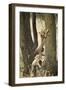 Cheetah Cubs Playing at Ngorongoro Conservation Area, Tanzania-Paul Souders-Framed Photographic Print