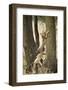 Cheetah Cubs Playing at Ngorongoro Conservation Area, Tanzania-Paul Souders-Framed Photographic Print