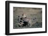 Cheetah Cubs Playing-Paul Souders-Framed Photographic Print