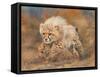 cheetah dust final-David Stribbling-Framed Stretched Canvas