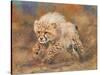 cheetah dust final-David Stribbling-Stretched Canvas