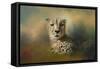 Cheetah Enjoying a Summer Day-Jai Johnson-Framed Stretched Canvas