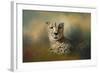 Cheetah Enjoying a Summer Day-Jai Johnson-Framed Giclee Print