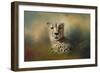 Cheetah Enjoying a Summer Day-Jai Johnson-Framed Giclee Print