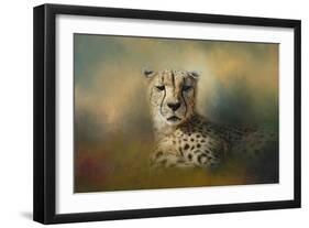 Cheetah Enjoying a Summer Day-Jai Johnson-Framed Giclee Print