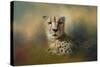 Cheetah Enjoying a Summer Day-Jai Johnson-Stretched Canvas