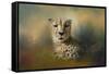Cheetah Enjoying a Summer Day-Jai Johnson-Framed Stretched Canvas