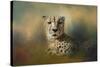 Cheetah Enjoying a Summer Day-Jai Johnson-Stretched Canvas