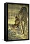 Cheetah Female with Her Subadult Male Cub-null-Framed Stretched Canvas