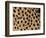 Cheetah Fur Detail-Tony Heald-Framed Premium Photographic Print