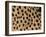 Cheetah Fur Detail-Tony Heald-Framed Photographic Print