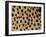 Cheetah Fur Detail-Tony Heald-Framed Photographic Print