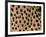 Cheetah Fur Detail-Tony Heald-Framed Photographic Print