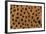 Cheetah Fur-DLILLC-Framed Photographic Print