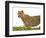 Cheetah in Namibia, Africa-Frances Gallogly-Framed Photographic Print