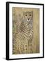 Cheetah in Tall Grass-Darrell Gulin-Framed Photographic Print