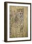 Cheetah in Tall Grass-Darrell Gulin-Framed Photographic Print