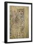 Cheetah in Tall Grass-Darrell Gulin-Framed Photographic Print