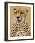 Cheetah in the Brush, Maasai Mara, Kenya-Joe Restuccia III-Framed Photographic Print