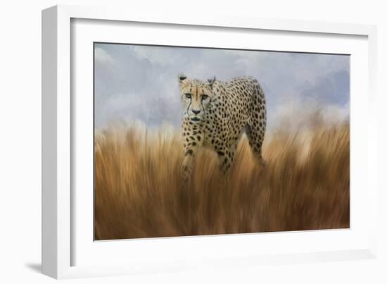 Cheetah in the Field-Jai Johnson-Framed Giclee Print