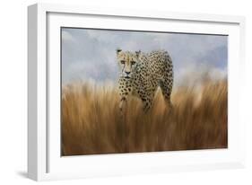 Cheetah in the Field-Jai Johnson-Framed Giclee Print