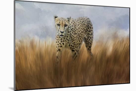 Cheetah in the Field-Jai Johnson-Mounted Giclee Print