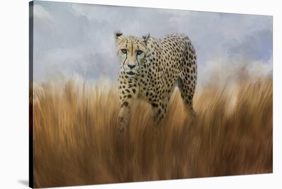 Cheetah in the Field-Jai Johnson-Stretched Canvas