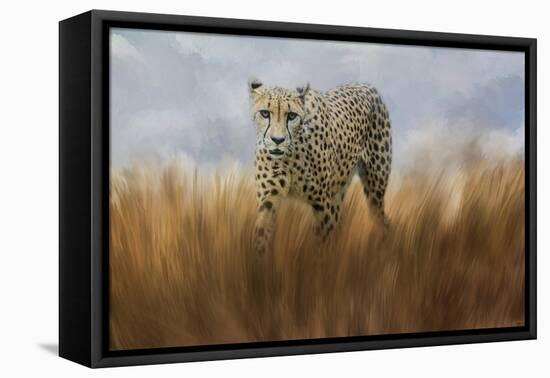 Cheetah in the Field-Jai Johnson-Framed Stretched Canvas