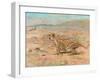 Cheetah in the Wild-Cuthbert Swan-Framed Art Print