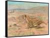 Cheetah in the Wild-Cuthbert Swan-Framed Stretched Canvas